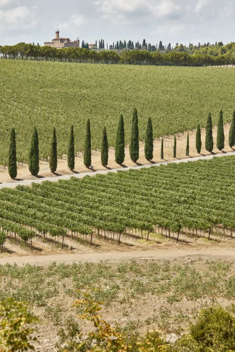 castello di banfi elopement venue