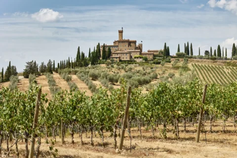 castello di banfi elopement venue
