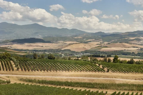 castello di banfi elopement venue