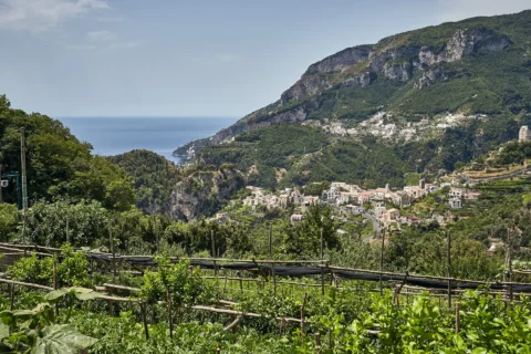 palazzo confalone elopements