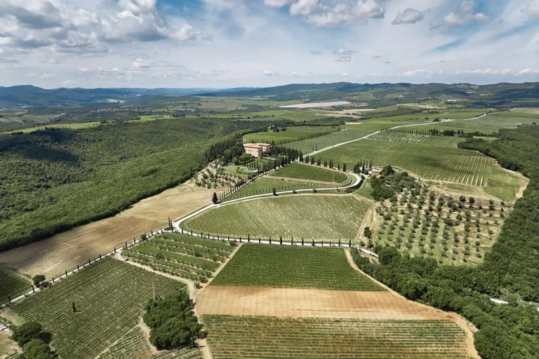 Aerial view of the vineyards near Montalcino Tuscany