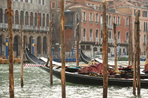 aman venice elopement venue