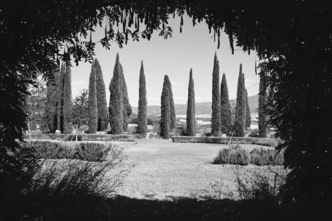 argiano dimore elopement venue tuscany
