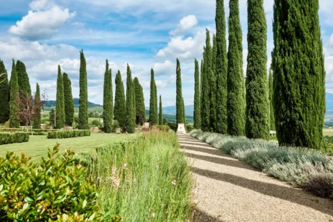 argiano dimore elopement venue tuscany