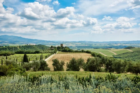 argiano dimore elopement venue tuscany