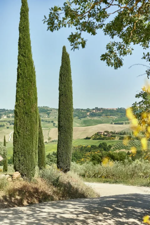 lupaia elopement venue