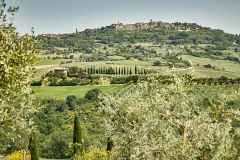 lupaia elopement venue