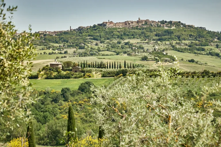 lupaia elopement venue