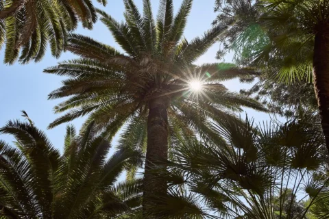 villa astor elopements