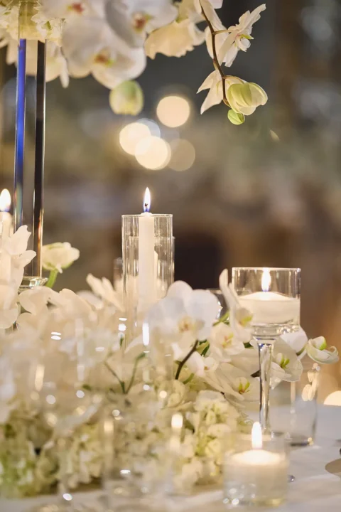 black tie venice elopement kelly fred