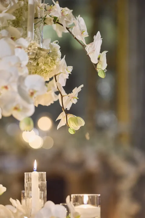 black tie venice elopement kelly fred