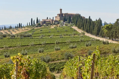 castle winery elopement corrina benny