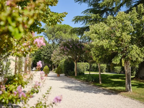 catholic elopement cortona kathleen shane