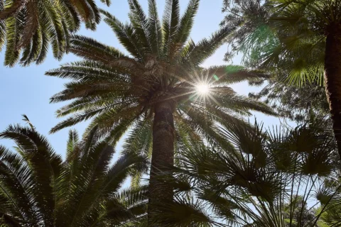 classic sorrento wedding amanda jeff