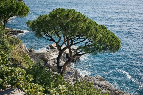 classic stylish positano elopement loran andrew