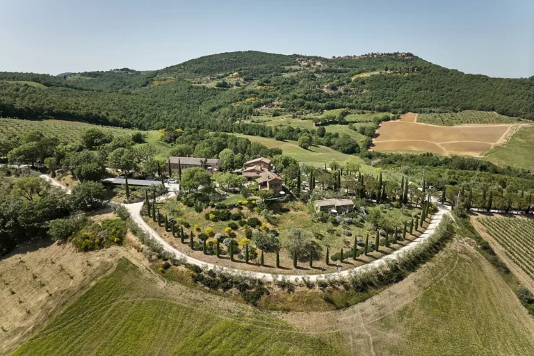 dusk vow ceremony emma ashley