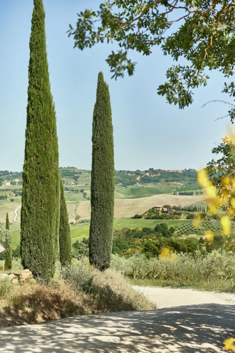 dusk vow ceremony emma ashley