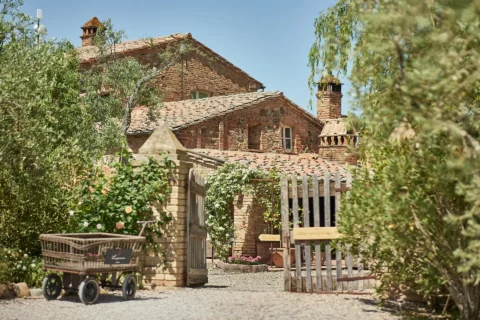 dusk vow ceremony emma ashley