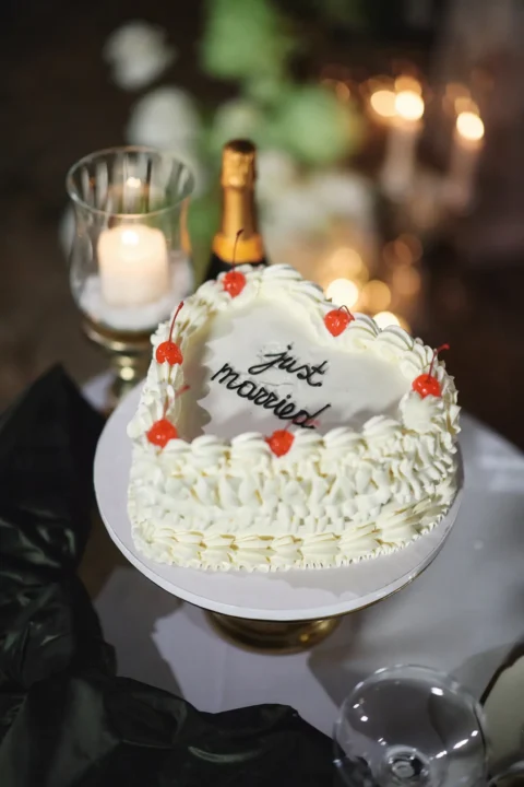 elegant castle elopement billie nick