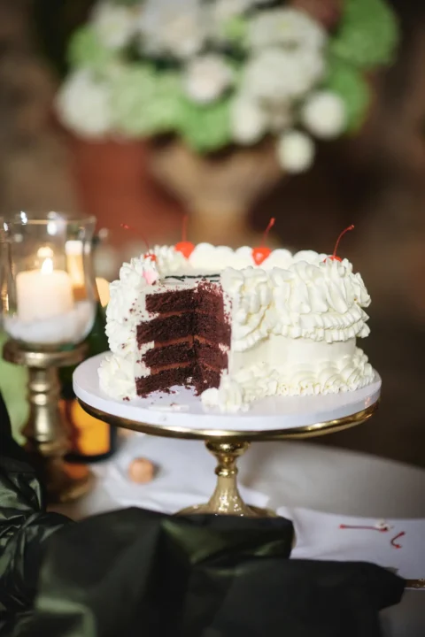elegant castle elopement billie nick