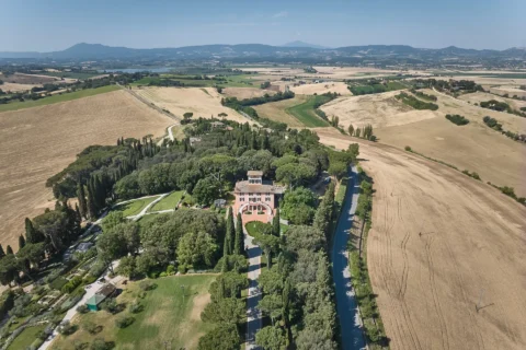 elegant small wedding alexa myles