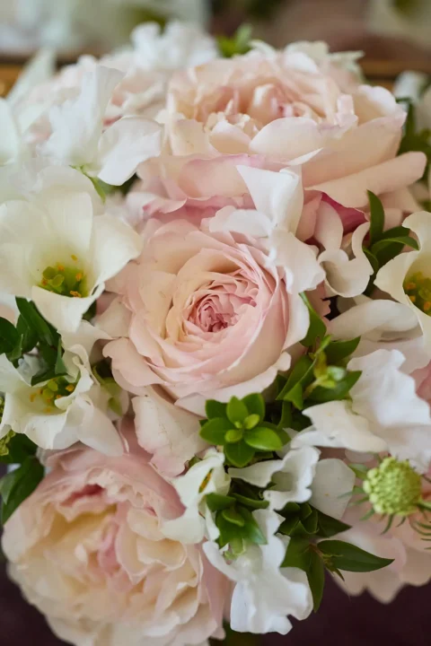 elegant small wedding alexa myles