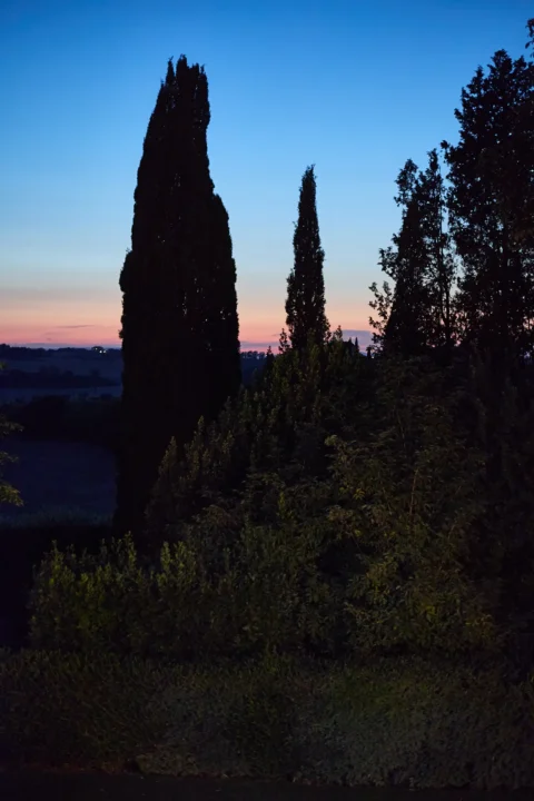 elegant small wedding alexa myles