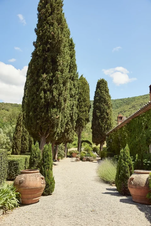emotional tuscan elopement sokha jeremy