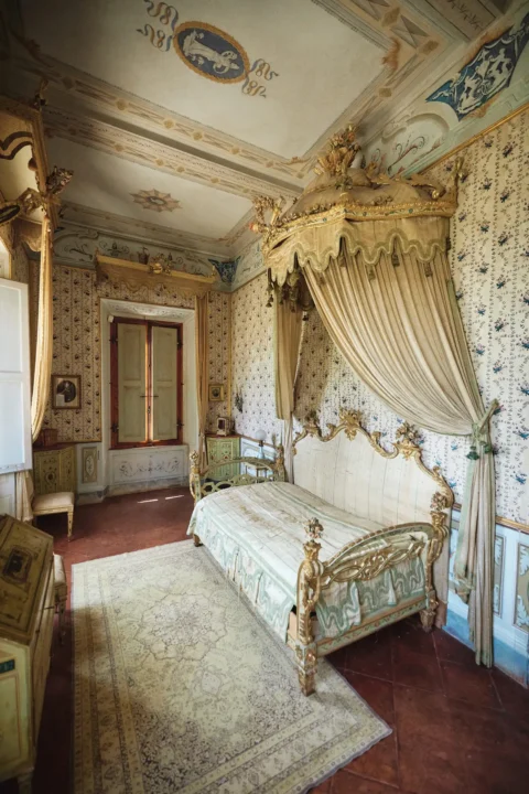 gourmet design elopement charlotte chris