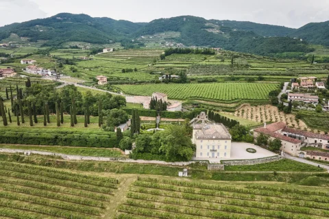 historic garden elopement camellia eric