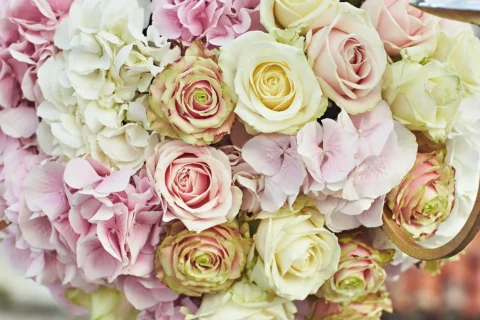 iconic venice elopement dariya seth