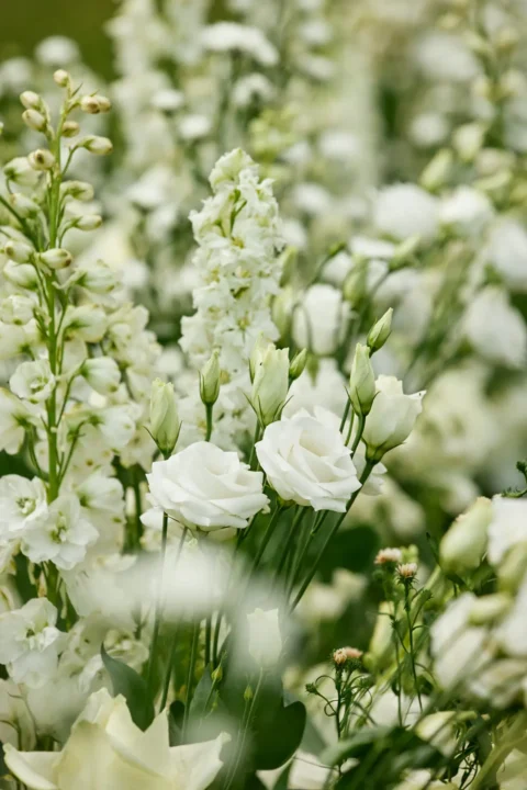 iconic villa elopement ami bobby