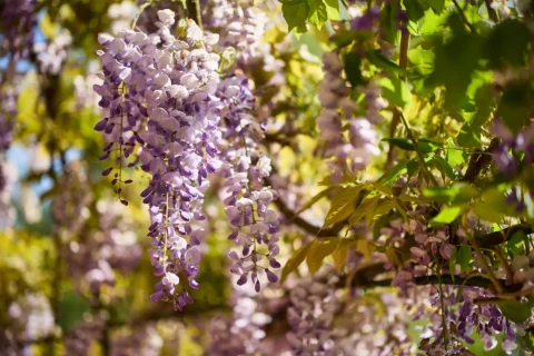 intimate spring elopement emily jordan