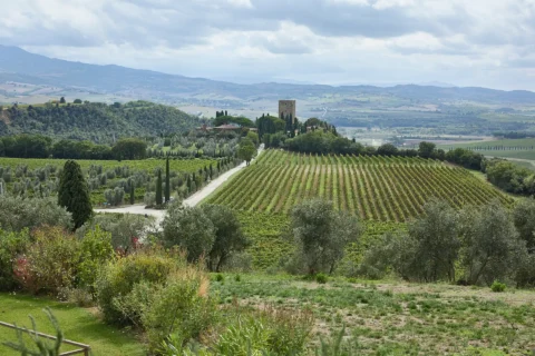 intimate tuscan celebration gabrielle nick