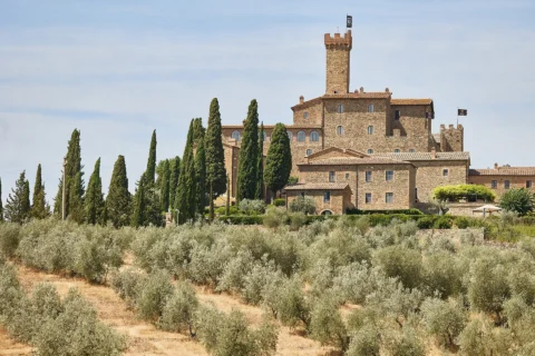 refined castle elopement ylva harvaard