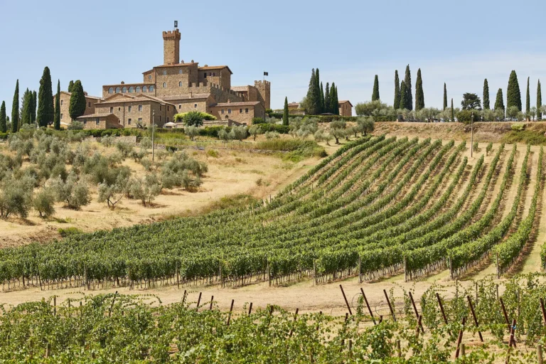 refined castle elopement ylva harvaard