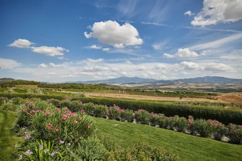 refined castle elopement ylva harvaard