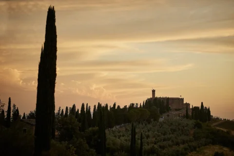 refined castle elopement ylva harvaard