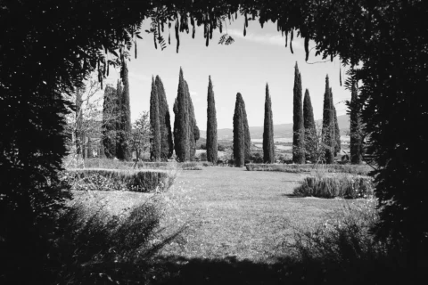 small wedding tuscany katelyn charlie