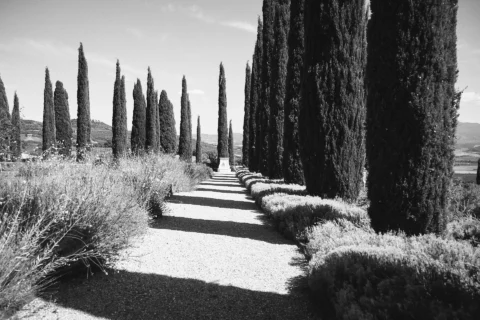 small wedding tuscany katelyn charlie