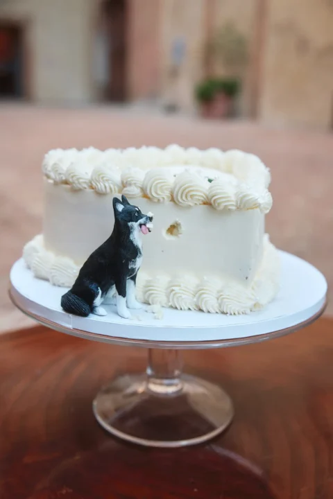 small wedding tuscany katelyn charlie