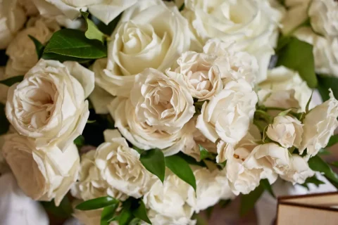 stylish villa elopement carissa lane